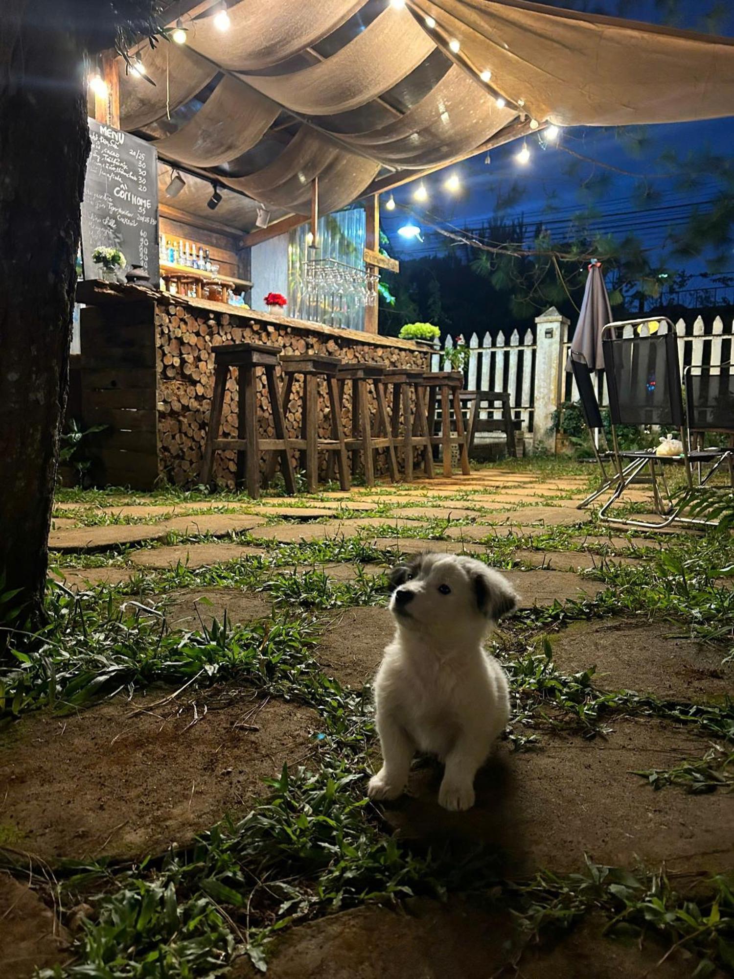 Chino Homestay Mang Den - Villa Tai Mang Den Kon Tum Exterior photo
